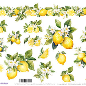 Carta Riso Limoni