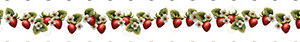 Nastro Bordo Fragole  h. 4 cm x 90 cm