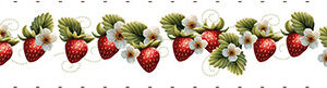 Nastro Bordo Fragole  h.10 cm x 90 cm