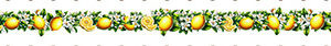 Nastro Bordo Limoni h. 4 cm x 90 cm