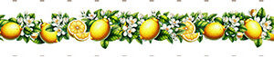 Nastro Bordo Limoni h. 6 cm x 90 cm