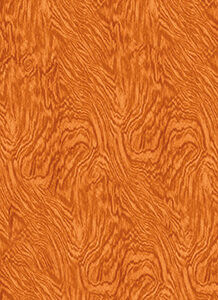 Fondo Arancio cm 50x130