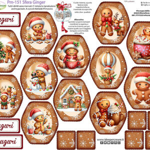 Pannello cm 40x50 Sfera Ginger