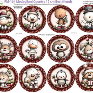Pannello cm 40x50 Medaglioni cm 12 Best Friends