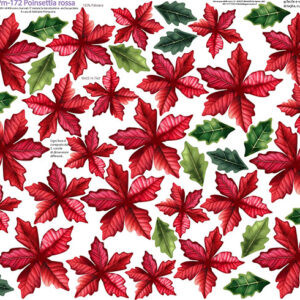 Pannello cm 40x50 poinsettia rossa
