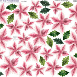 Pannello cm 40x50 poinsettia rosa