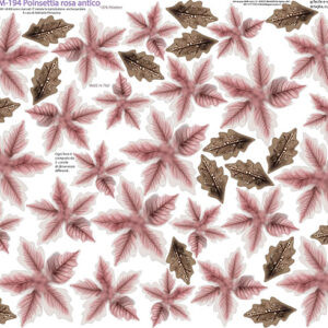 Pannello cm 40x50 poinsettia Rosa Antico