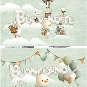 Cambio Giorno/notte paperotto