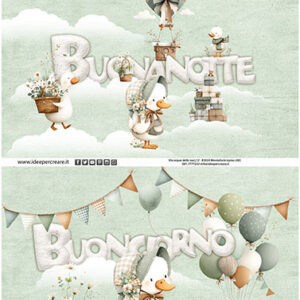 Cambio Giorno/notte Ochetta